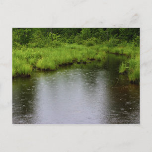 Carte Postale Été 2016 de gouttes de pluie