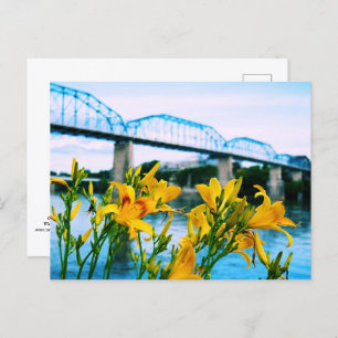 Carte Postale Été à Chattanooga, TN - Pont de rue Walnut