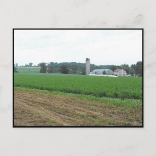 Carte Postale ~ Été dans le comté de Lancaster ~ 10