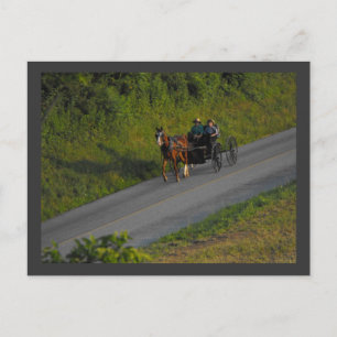 Carte Postale ~ Été dans le comté de Lancaster ~ 3