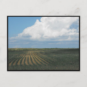 Carte Postale ~ Été dans le comté de Lancaster ~ 34