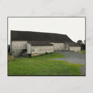 Carte Postale ~ Été dans le comté de Lancaster ~ 50