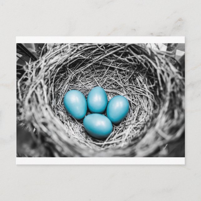 Carte Postale Éteins (Devant)