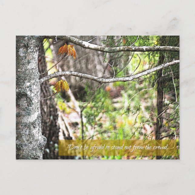 Carte Postale Éteins-toi (Devant)