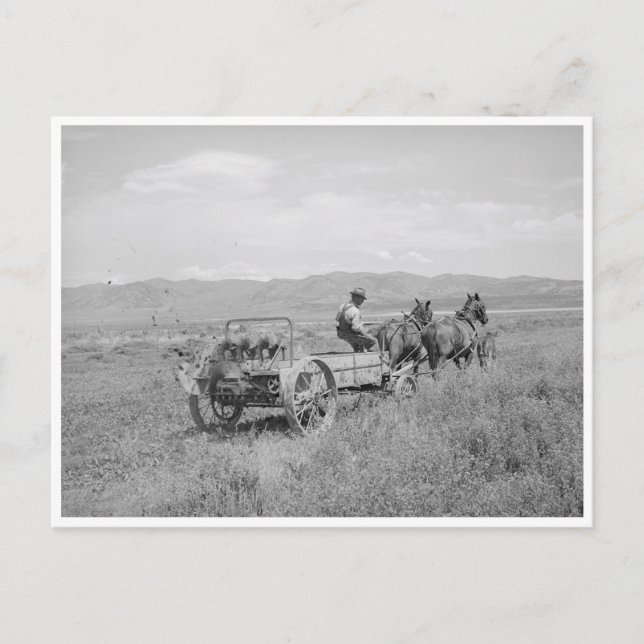 Carte Postale Étendeur de fumier (Devant)