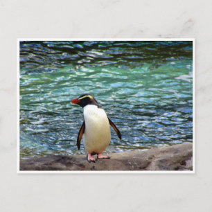 Carte Postale étendue de pingouin de fiordland