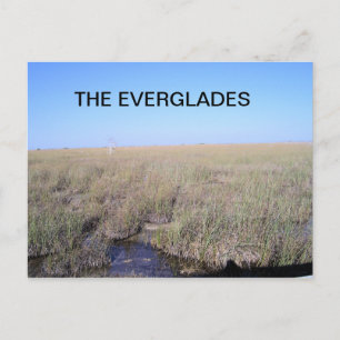 CARTE POSTALE ÉTENDUE DES EVERGLADES