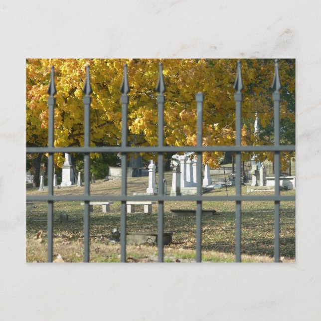 Carte Postale Eternal Rest Postcard (Devant)