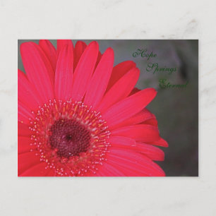 Carte postale Eternal Springs