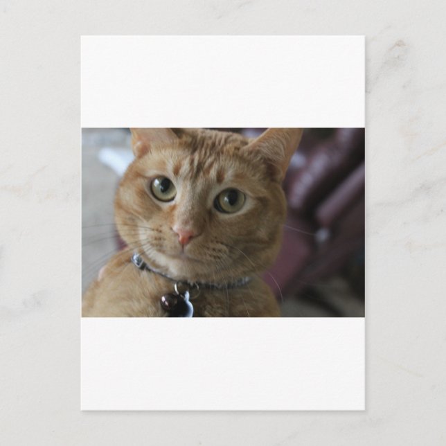 Carte Postale Ethan (Devant)