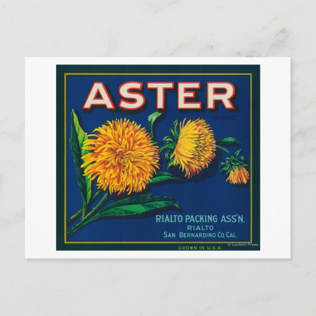 Carte Postale Étiquette Aster Brand Citrus Crate (Devant)