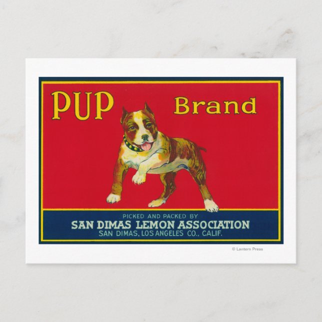 Carte Postale Étiquette Citron Pup San Dimas, CA (Devant)