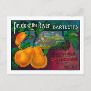 Carte Postale Étiquette de caisse de poire de la fierté de la ri