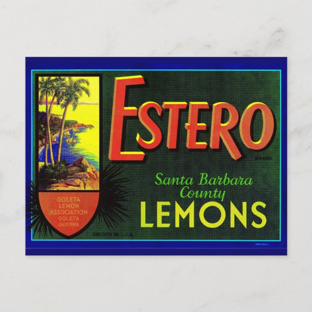 Carte Postale étiquette de caisses de citrons Estero dans les an (Devant)