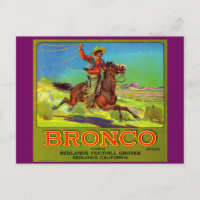 étiquette de caisses de fruits Bronco dans les ann