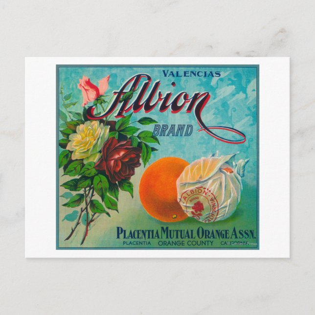 Carte Postale Étiquette de la marque Albion Citrus Crate (Devant)