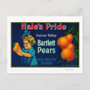 Carte Postale Étiquette Hale's Pride Pear CrateSuisun, CA
