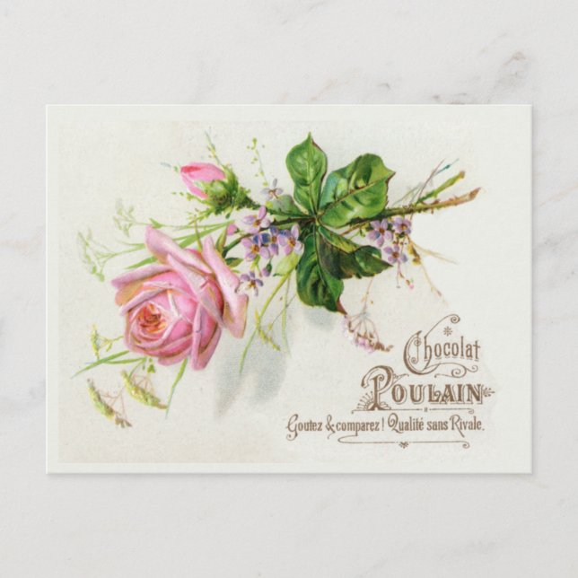 Carte Postale Étiquette vintage (Devant)