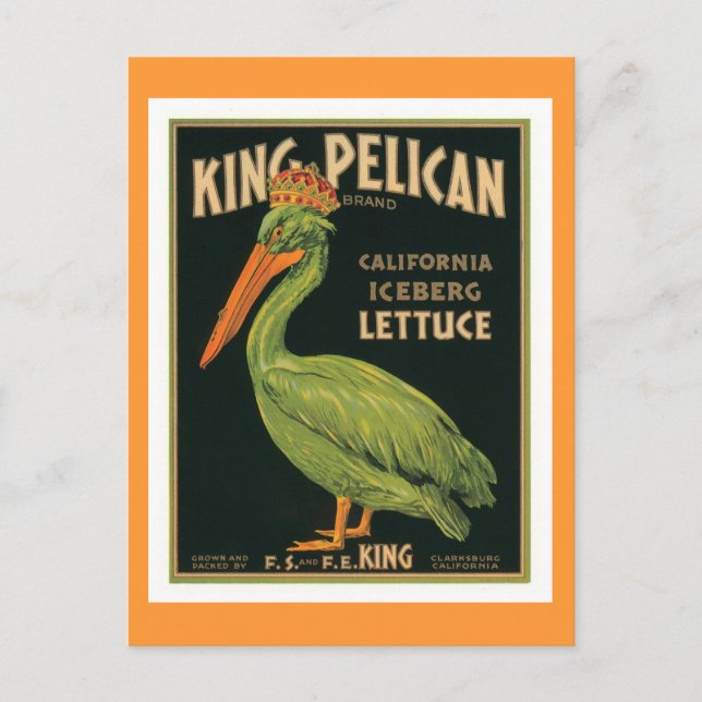 Carte Postale Étiquette Vintage du roi Pélican (Devant)