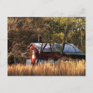 Carte Postale Étoile d'automne dans le Maryland central