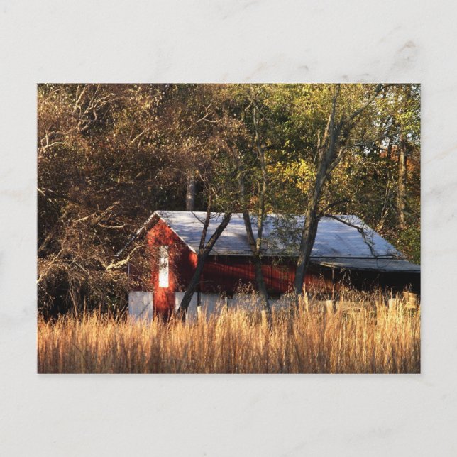 Carte Postale Étoile d'automne dans le Maryland central (Devant)