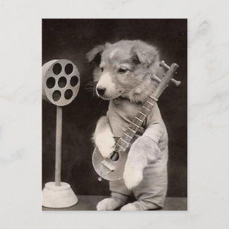 Carte Postale Étoile radio Doggy