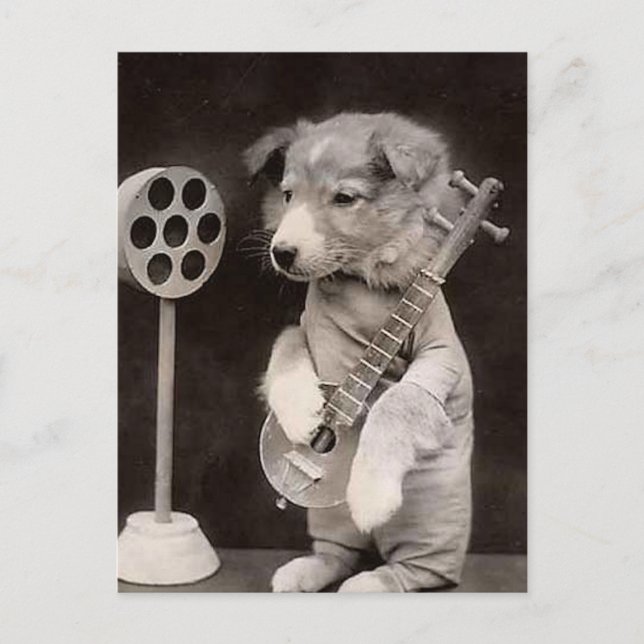 Carte Postale Étoile radio Doggy (Devant)