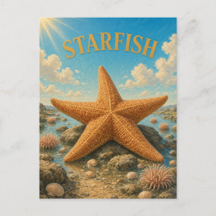 Carte Postale Étoiles de mer GeoSaga aquarelle des bassins côtie