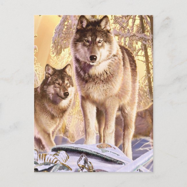 Carte Postale "Étoiles sous la neige" (Devant)