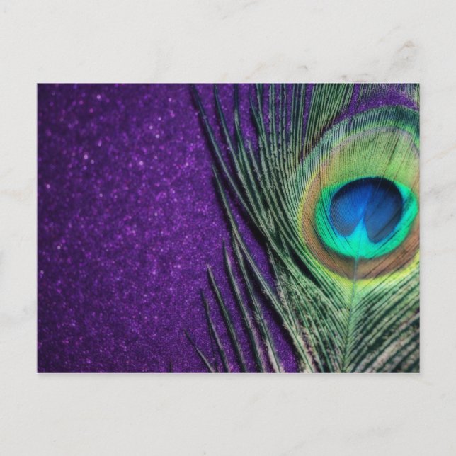 Carte Postale Étonnant Peacock Violet (Devant)