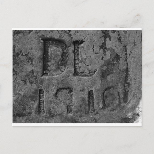 Carte Postale Etonné par (Devant)