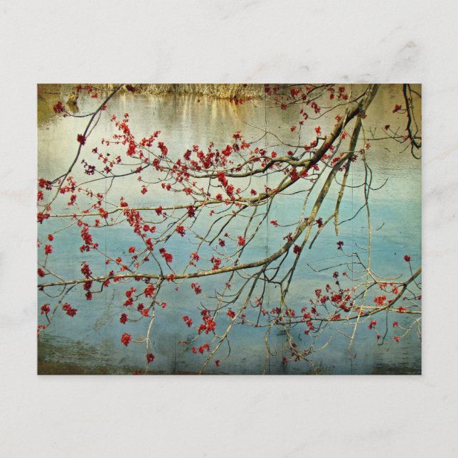 Carte Postale Étouffement (Devant)