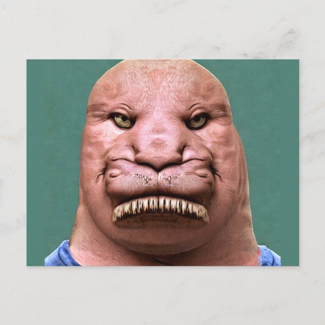 Carte postale étrange de M. Morse (Devant)