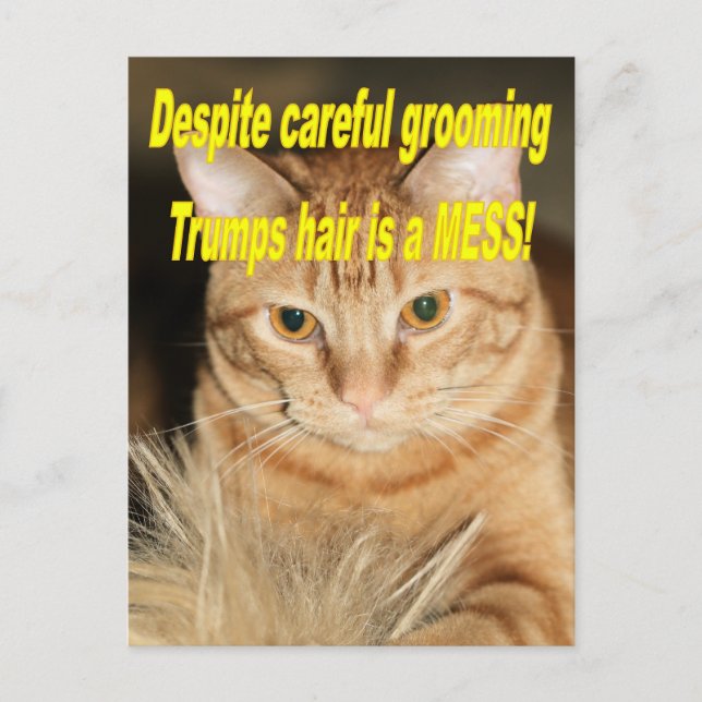 Carte Postale Étrange vieux Trump (Devant)