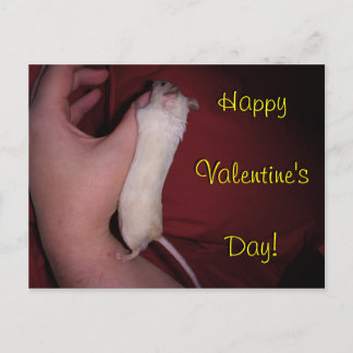Carte postale : Étreinte Valentine de souris