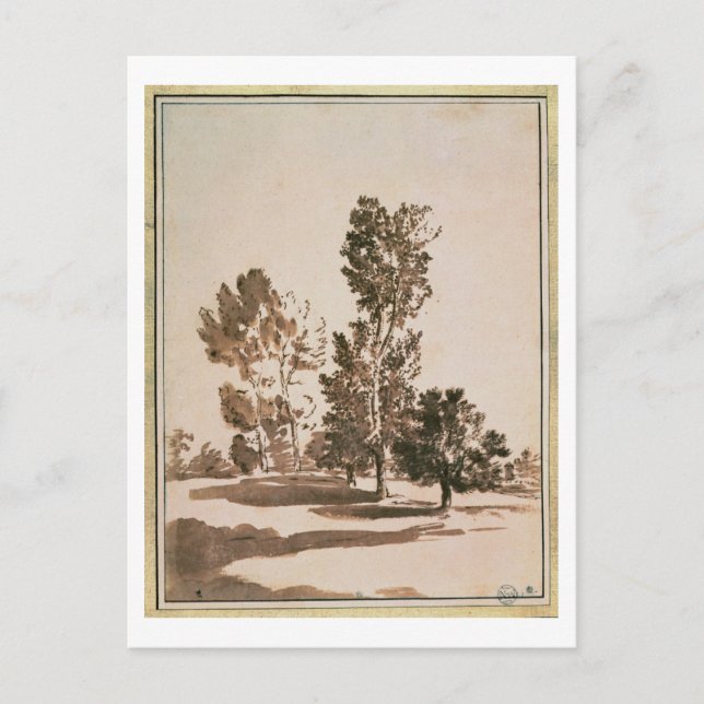 Carte Postale Étude d'arbre (stylo & encre sur papier) (Devant)