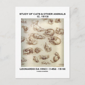 Carte Postale Étude de chats et autres animaux (Léonard de Vinci