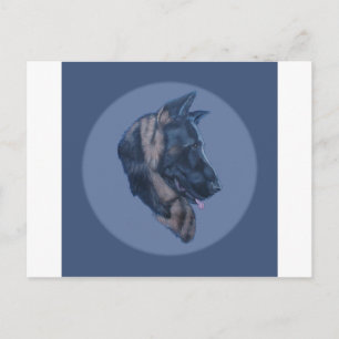 Carte Postale Étude de chef berger allemand