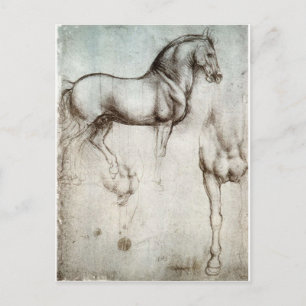 Carte Postale Étude de cheval