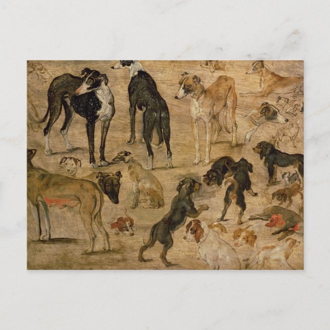 Carte Postale Étude de Hounds, 1616 (Devant)