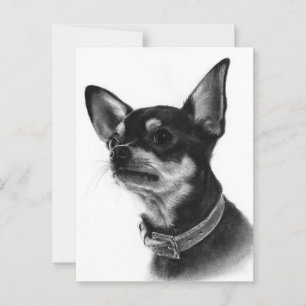 Carte Postale Étude de la tête Chihuahua peinte à la main