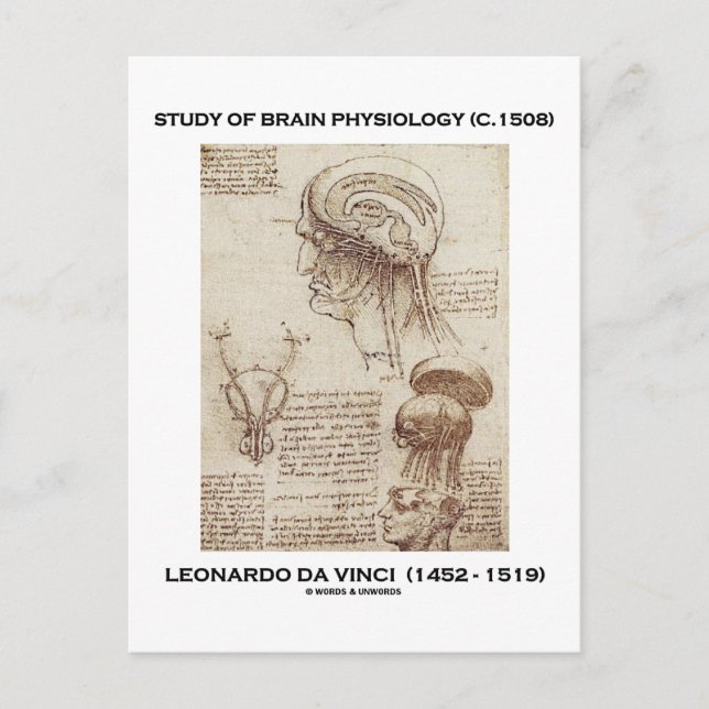 Carte Postale Étude De Physiologie Du Cerveau (Leonardo da Vinci (Devant)