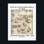 Carte Postale Étude Des Chats Et Autres Animaux (Léonard De Vinc<br><div class="desc">Aimez-vous regarder le comportement animal ? Faites faire aux autres une double prise avec n'importe lequel de ces cadeaux avec un dessin intemporel de Léonard de Vinci de chats et autres animaux dans "Étude des chats et autres animaux", vers 1513. L'artiste, scientifique, ingénieur et inventeur de la Renaissance Leonardo da...</div>