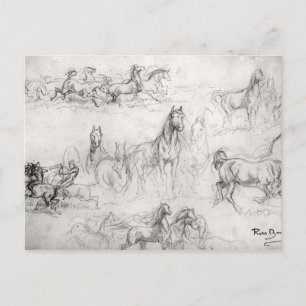 Carte Postale Étude des chevaux