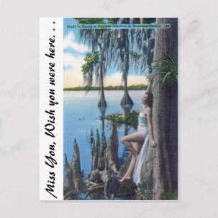 Carte Postale Étude des genoux