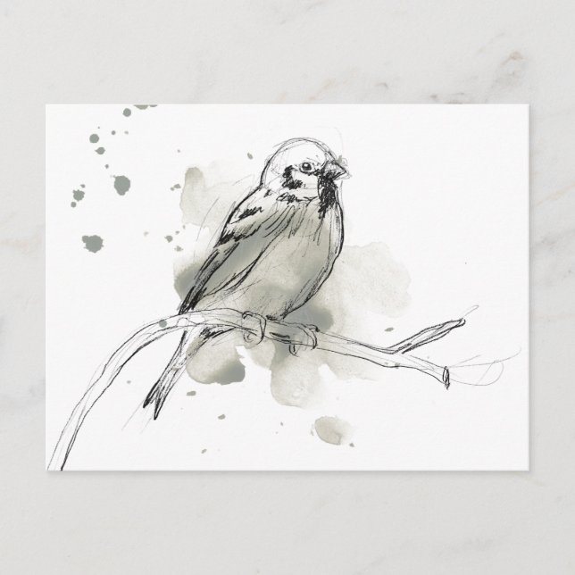 Carte Postale Étude des oiseaux de la nature (Devant)