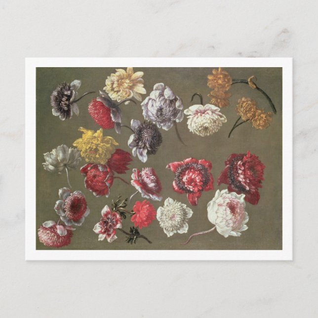 Carte Postale Étude des pivoines (huile sur toile) (Devant)