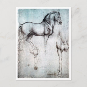 Carte Postale Étude du cheval, Léonard de Vinci
