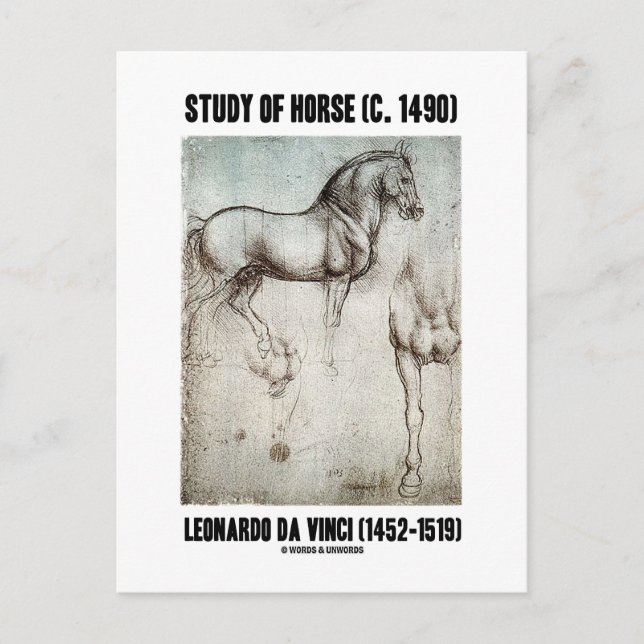Carte Postale Étude du cheval (vers 1490) Leonardo da Vinci (Devant)