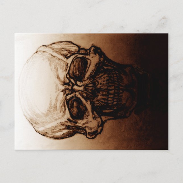 Carte Postale Étude du crâne (Devant)